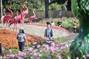 BIB: 
                            <button type="button" onclick="openModal(27793111)" class="btn btn-primary btn-sm float-right btn-popup" data-toggle="modal" data-target=".modal-high-quality">
                        <i class="fas fa-shopping-cart"></i> Add to Cart
                    </button>
                                            <button type="button" onclick="isThisMe(27793111, true)" class="btn btn-success btn-sm float-right btn-popup btn-isme hidden" data-toggle="tooltip" data-placement="bottom" title="นี่คือรูปของคุณใช่ไหม คลิกที่นี่เพื่อเอาเข้าอัลบั้ม">
                        <i class="fas fa-plus"></i> Add to album
                    </button>
                    <button type="button" onclick="isThisMe(27793111, false)" class="btn btn-warning btn-sm float-right btn-popup btn-isnotme hidden">
                        <i class="fas fa-ban"></i> Remove from album
                    </button>